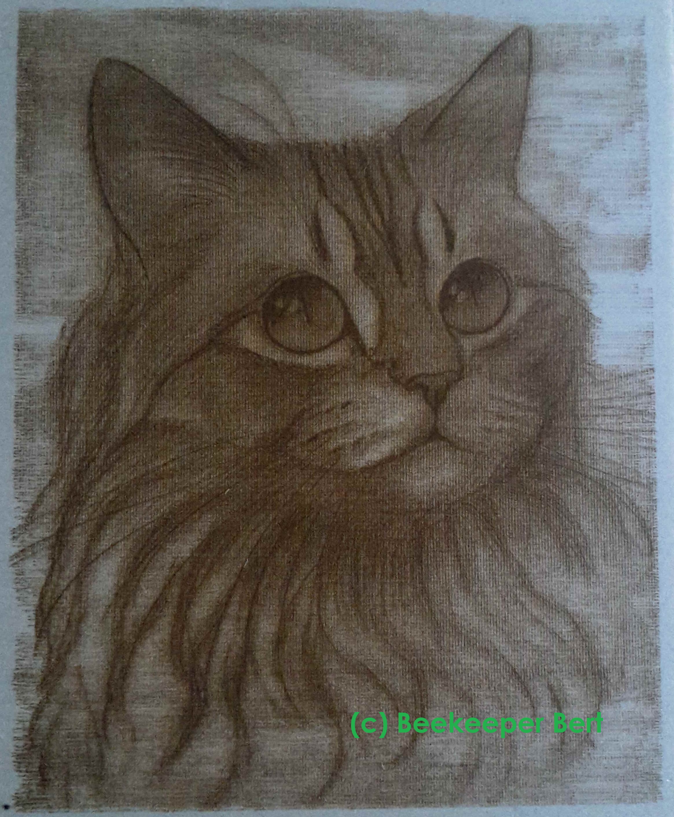 pyrography-wood-plate-cat-head
