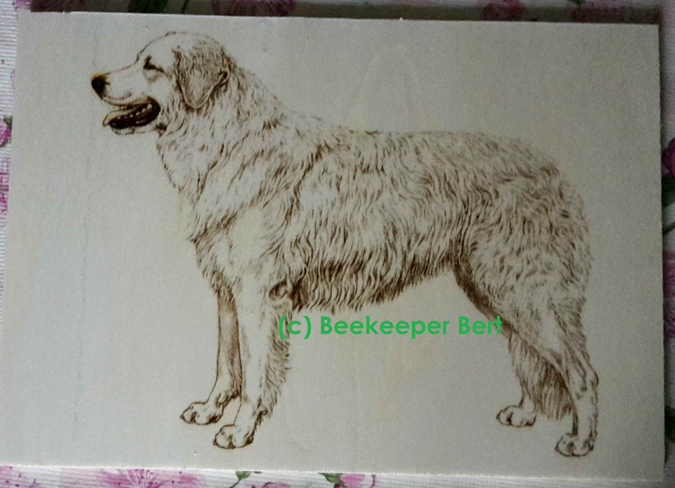 pyrography-wood-plate-dog-kuvasz-side-view
